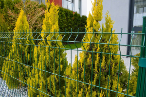 Какво трябва да знаете при избора на ограда