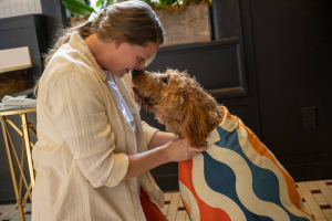 Колко често се къпе куче - график спрямо породата и грууминг инструменти