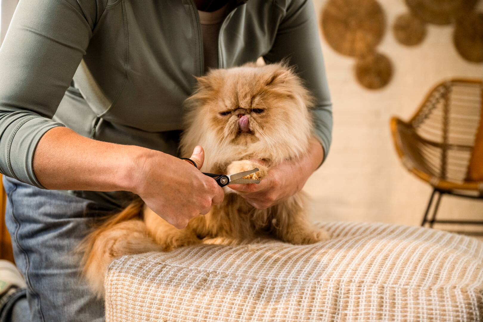 Грууминг инструменти