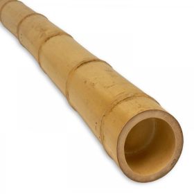 Бамбуков стълб Ø60-80 mm H=2.40 m UNB 8123 - ogradina.bg
