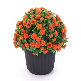 Декоративно саксийно растение оранжева ХРИЗАНТЕМА UV H=37 cm MZ 194023A - ogradina.bg
