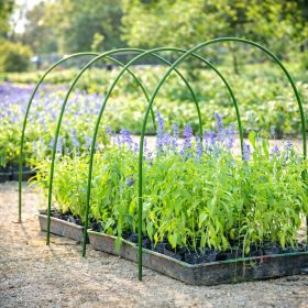 Дъга за парник PVC ∅8 mm H=150 cm RO 85640 - ogradina.bg