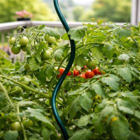 Спираловидно стоманено колче за растения ∅11 mm H=120 cm RO 85541 AI визуализация - ogradina.bg