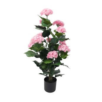 Декоративно саксийно растение ХОРТЕНЗИЯ UV H=90 cm MZ 178019A - ogradina.bg