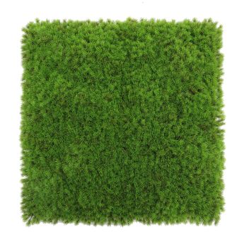 Декоративна плочка ИРЛАНДСКИ МЪХ Premium UV 50x50 cm MZ 188114B - ogradina.bg